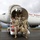 53rd Infantry Brigade Combat Team, Florida National Guard, Arrives in Tirana, Albania 53rd Infantry Brigade Combat Team, Florida National Guard, Arrives in Tirana, Albania