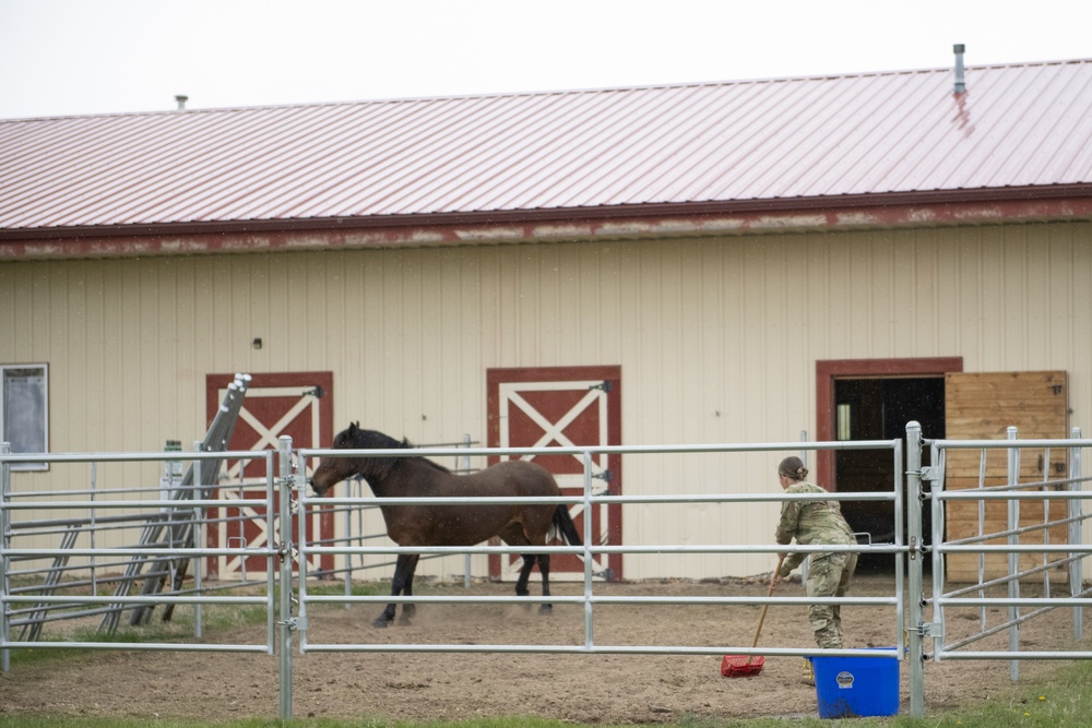 Soldiers volunteer at the Mirrored K Legacy Ranch to prepare for Operation Remount