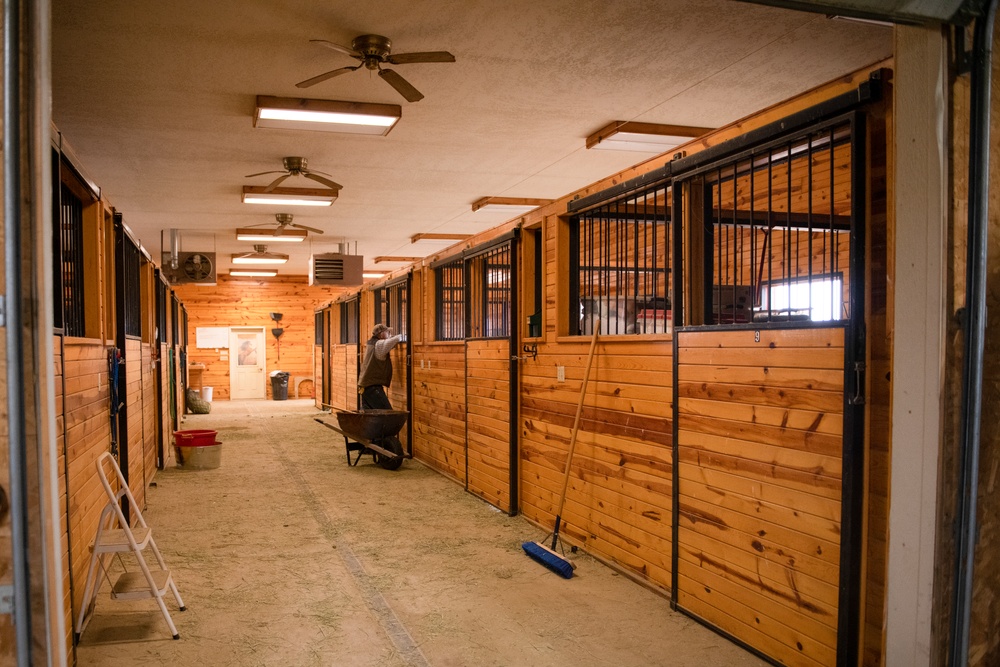 Soldiers volunteer at the Mirrored K Legacy Ranch to prepare for Operation Remount