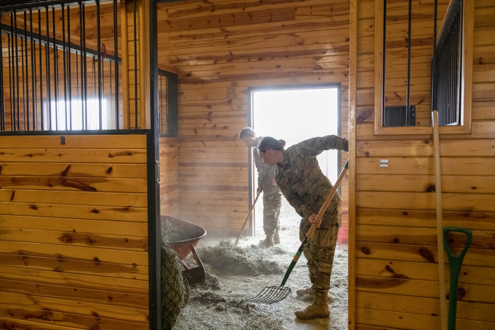 Soldiers volunteer at the Mirrored K Legacy Ranch to prepare for Operation Remount