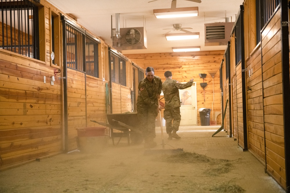 Soldiers volunteer at the Mirrored K Legacy Ranch to prepare for Operation Remount