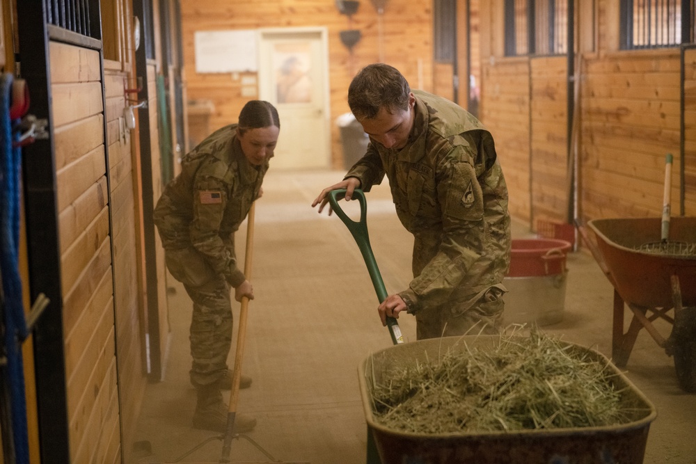 Soldiers volunteer at the Mirrored K Legacy Ranch to prepare for Operation Remount