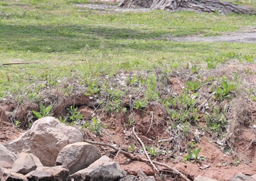 Canton Lake hosts 54th Walleye Rodeo