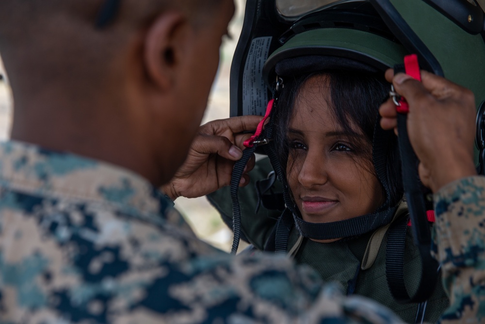 Pendleton EOD Marines hold family day