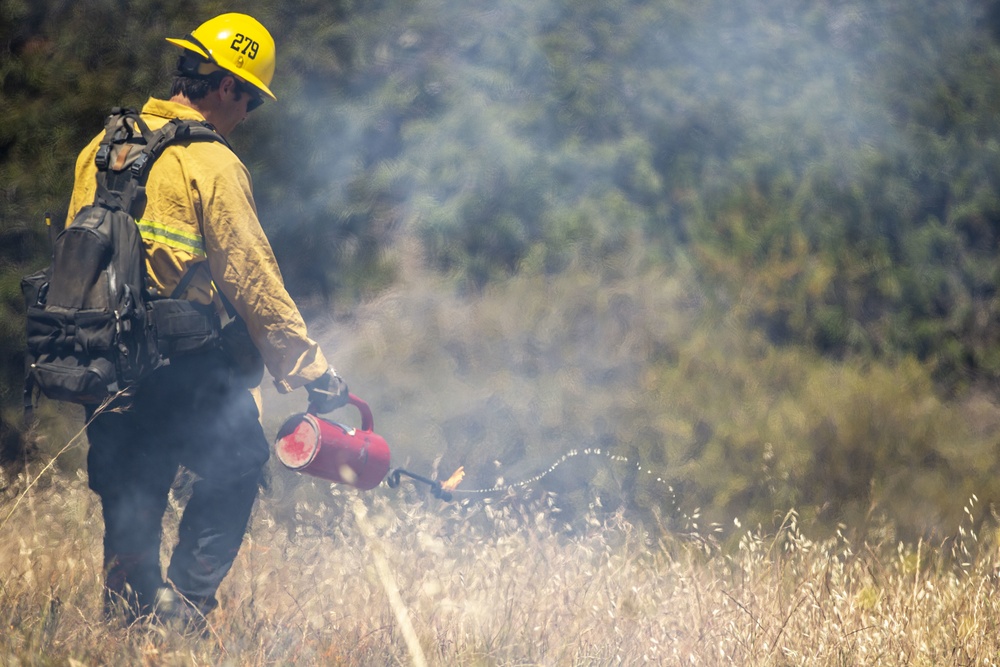 Pendleton firefighters prep for 2021 fire season with prescribed burn