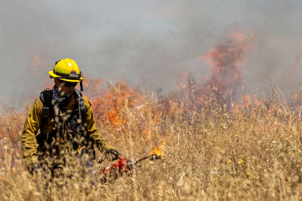 Pendleton firefighters prep for 2021 fire season with prescribed burn