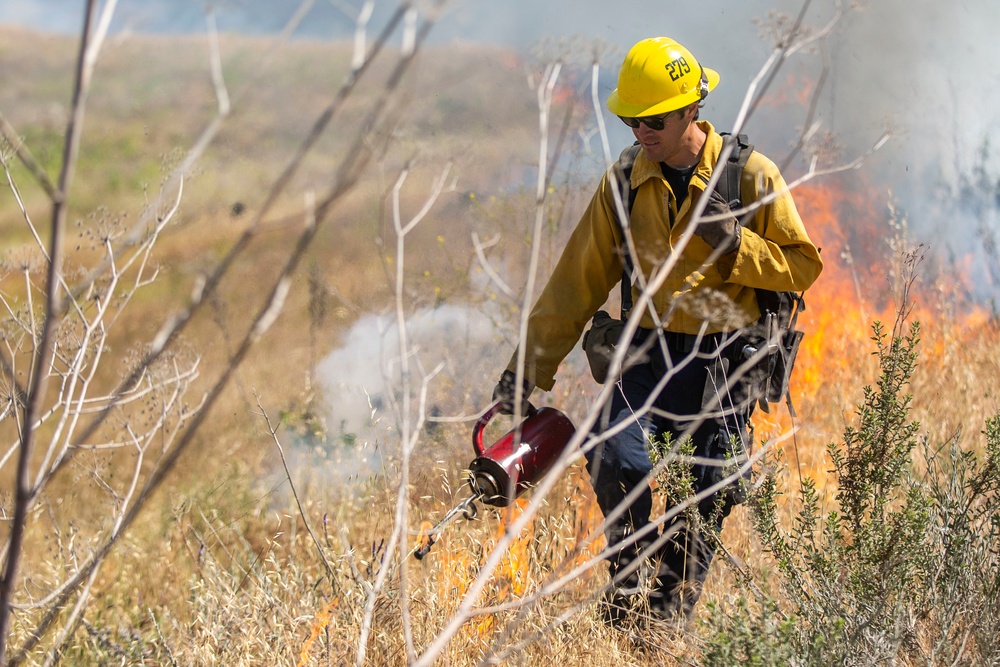 Pendleton firefighters prep for 2021 fire season with prescribed burn