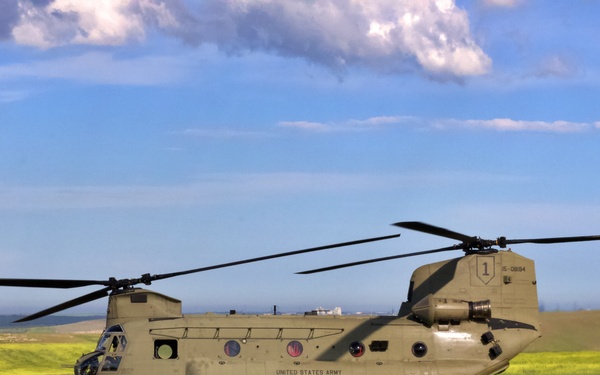 1st CAB Participates in Dutch Exercise Falcon Response