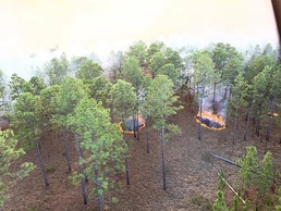 JRTC, Fort Polk sets DoD, Army standard for environmental efforts