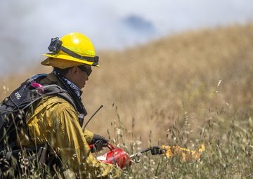Pendleton firefighters prep for 2021 fire season with prescribed burn