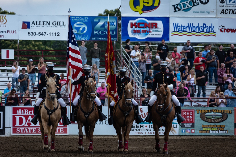 USMC Mounted Color Guard at the Redding Rodeo