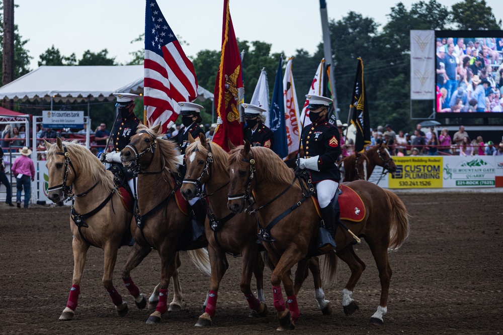 USMC Mounted Color Guard at the Redding Rodeo