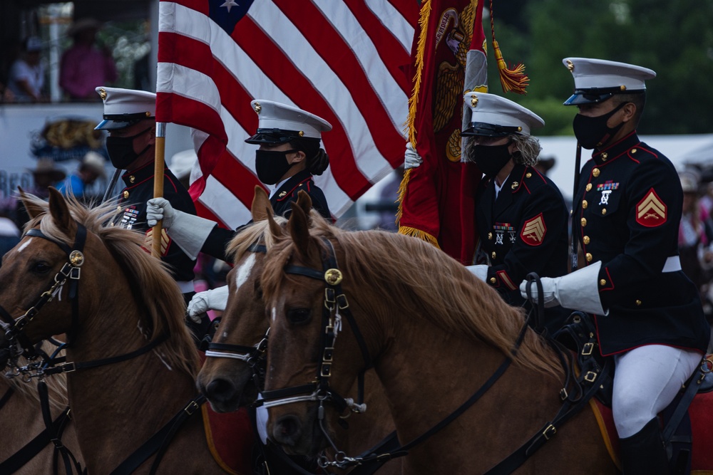 USMC Mounted Color Guard at the Redding Rodeo