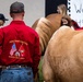 Mounted Color Guard brings mustangs to Foothill High School