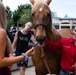 Mounted Color Guard brings mustangs to Foothill High School