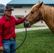 Mounted Color Guard brings mustangs to Foothill High School