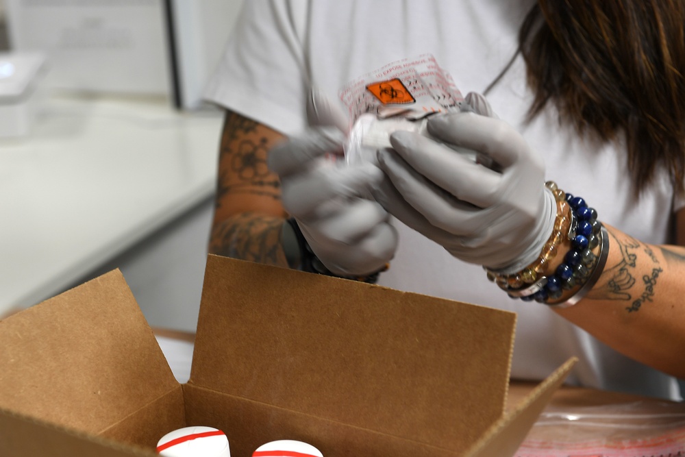 You're in luck: Specimens in good hands
