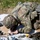 New York Guard Soldiers pursue coveted Expert Infantryman, Expert Field Medical Badges