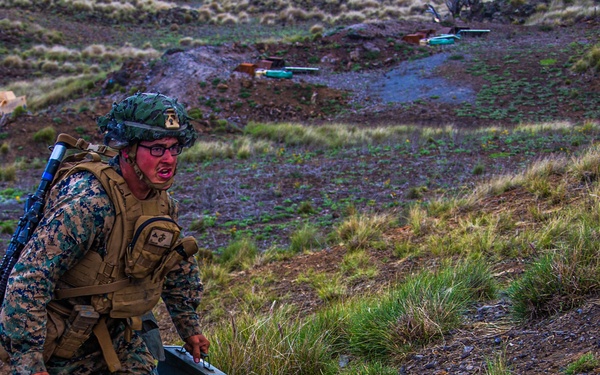 Bougainville II: Range 10