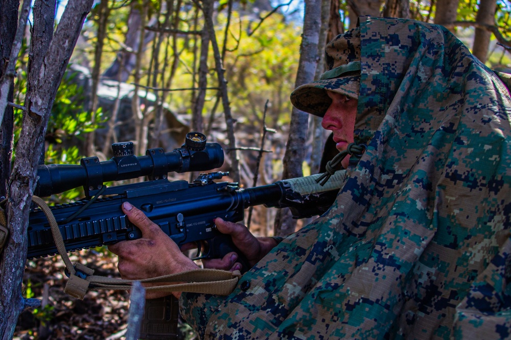 Bougainville II: Force-on-force