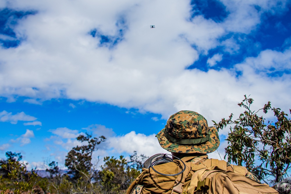 Bougainville II: Force-on-force