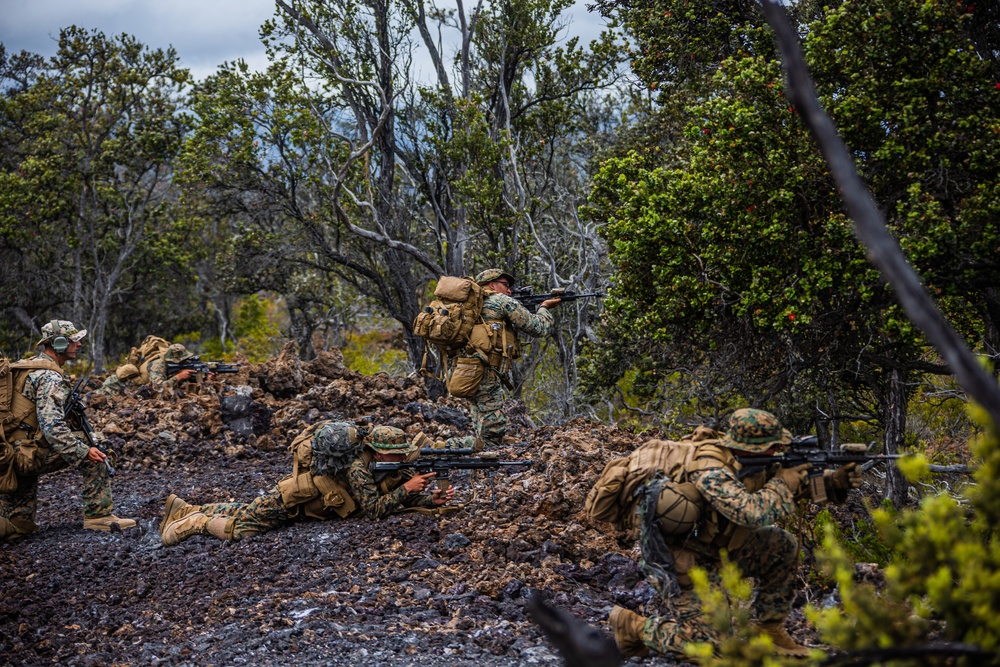 Bougainville II: Force-on-force