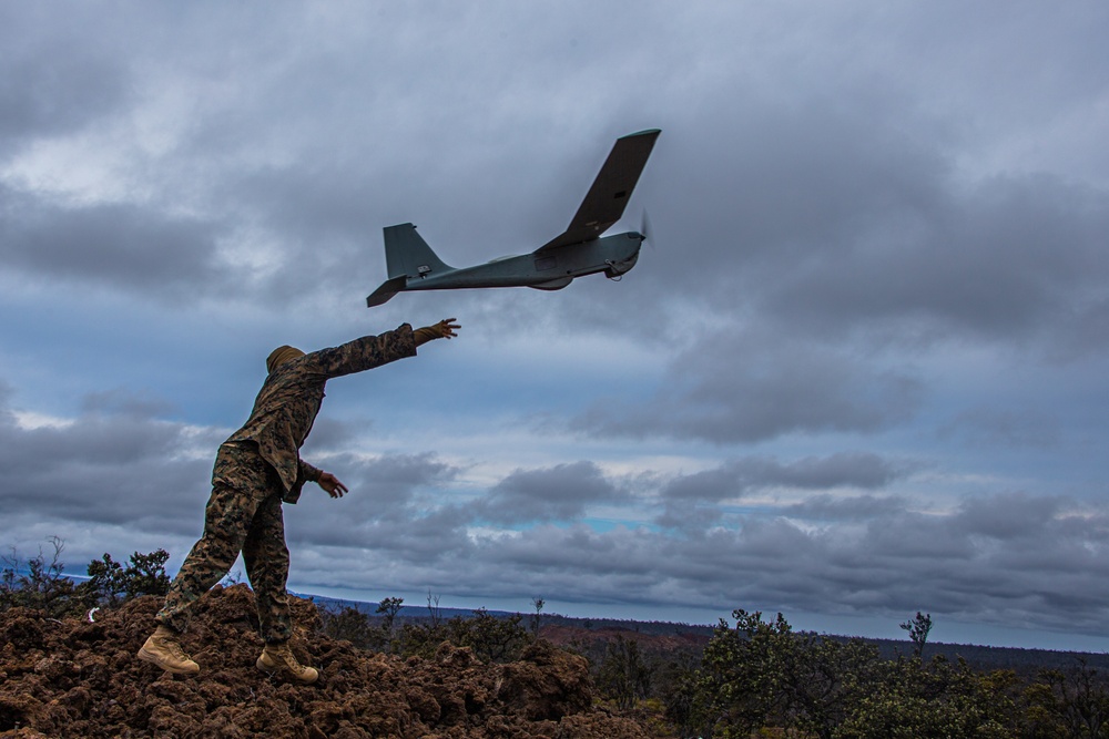 Bougainville II: Force-on-force