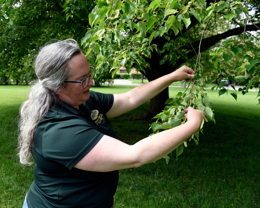 88 Civil Engineer Group works with Ohio Division of Forestry to build a tree program at Wright-Patt