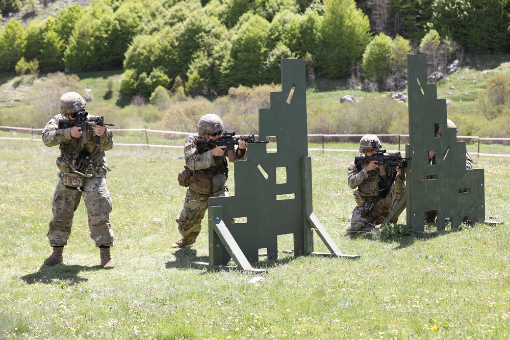 U.S., Abanian Troops Train at Biza