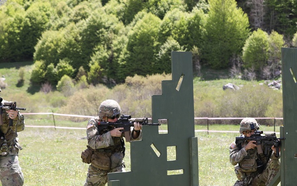 U.S., Abanian Troops Train at Biza