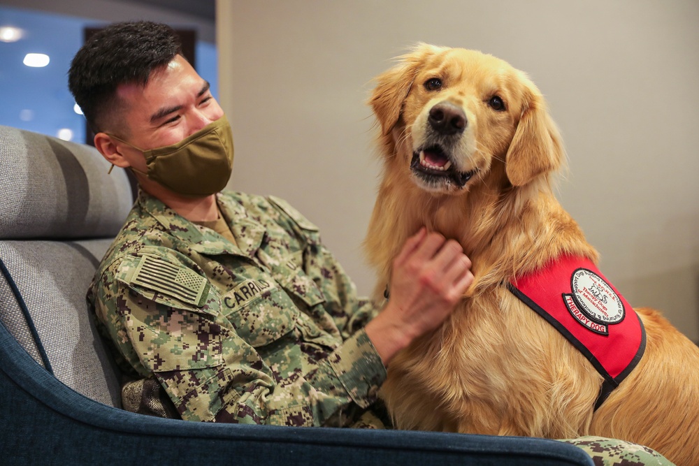 Therapy Dogs visit Sailors Deployed in Boston