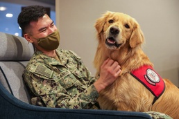 Therapy Dogs visit Sailors Deployed in Boston