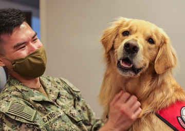 Therapy Dogs visit Sailors Deployed in Boston