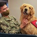 Therapy Dogs visit Sailors Deployed in Boston