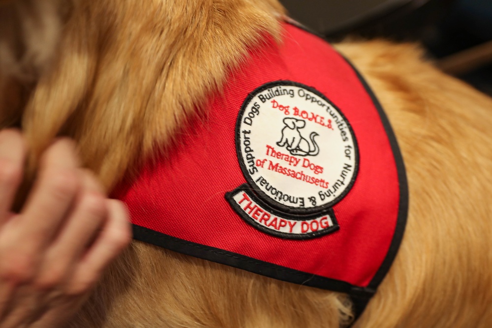 Therapy Dogs visit Sailors Deployed in Boston