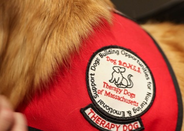 Therapy Dogs visit Sailors Deployed in Boston