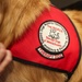 Therapy Dogs visit Sailors Deployed in Boston