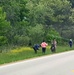 Lupine mapping at Fort McCoy