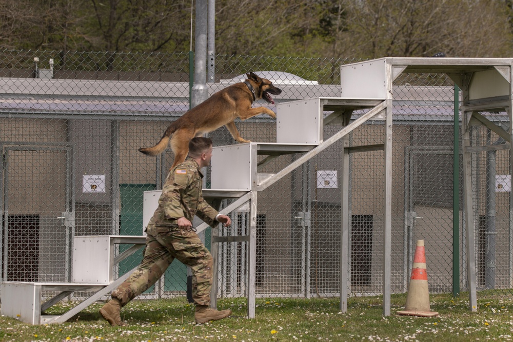 European military working dog competition