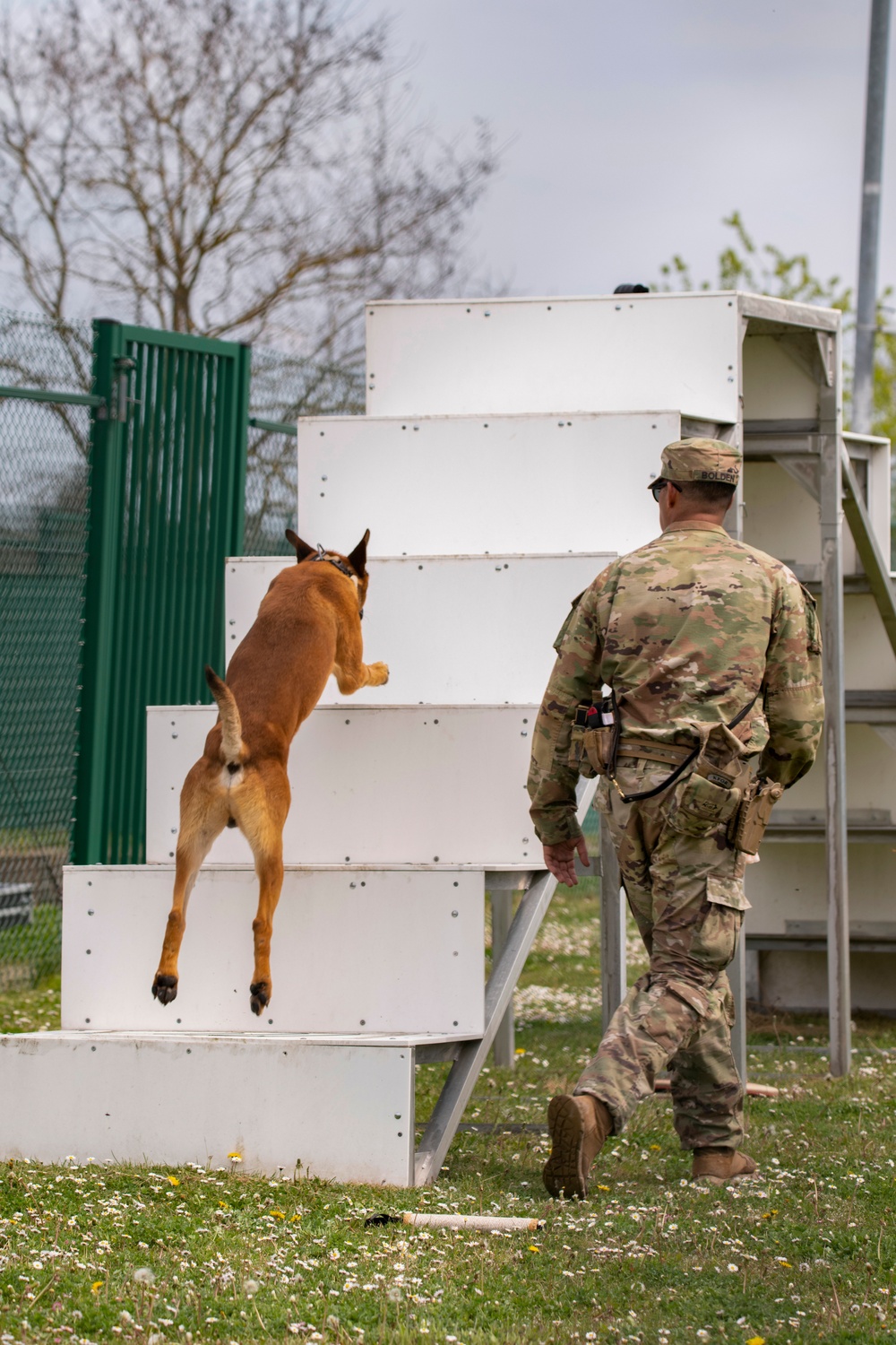 European military working dog competition