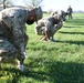 442d Force Support Squadron conduct search and recovery training