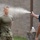 Defenders receive OC spray training