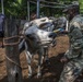 JTF-Bravo veterinary service vaccinates cattle in Tamarindo, El Salvador during Resolute Sentinel 21