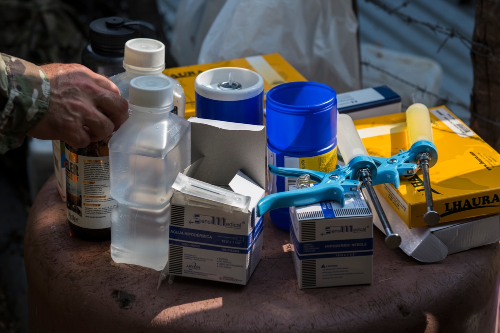 JTF-Bravo veterinary service vaccinates cattle in Tamarindo, El Salvador during Resolute Sentinel 21