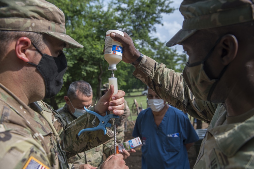 JTF-Bravo veterinary service vaccinates cattle in Tamarindo, El Salvador during Resolute Sentinel 21