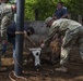 JTF-Bravo veterinary service vaccinates cattle in Tamarindo, El Salvador during Resolute Sentinel 21