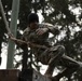 1st Special Forces Group Soldiers compete for Best Warrior Honors at an Obstacle Course