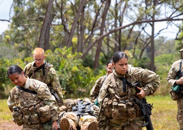 524th Division Sustainment Support Battalion FTX