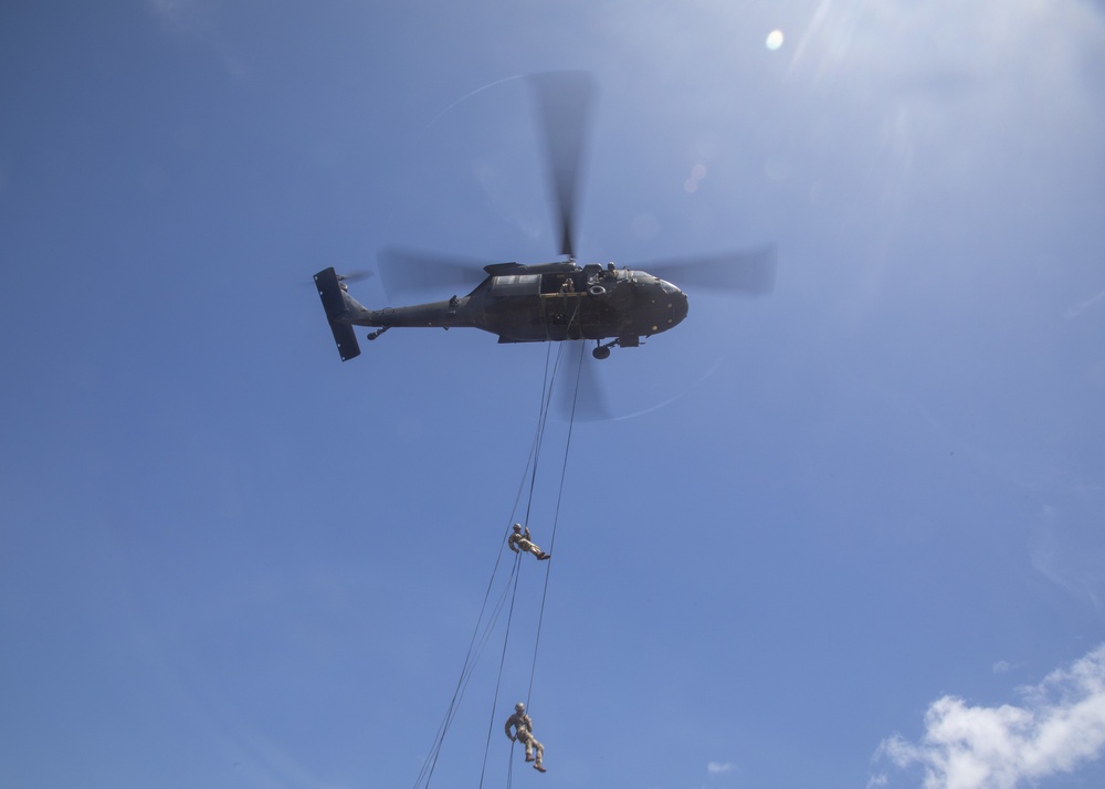 Air Assault Training