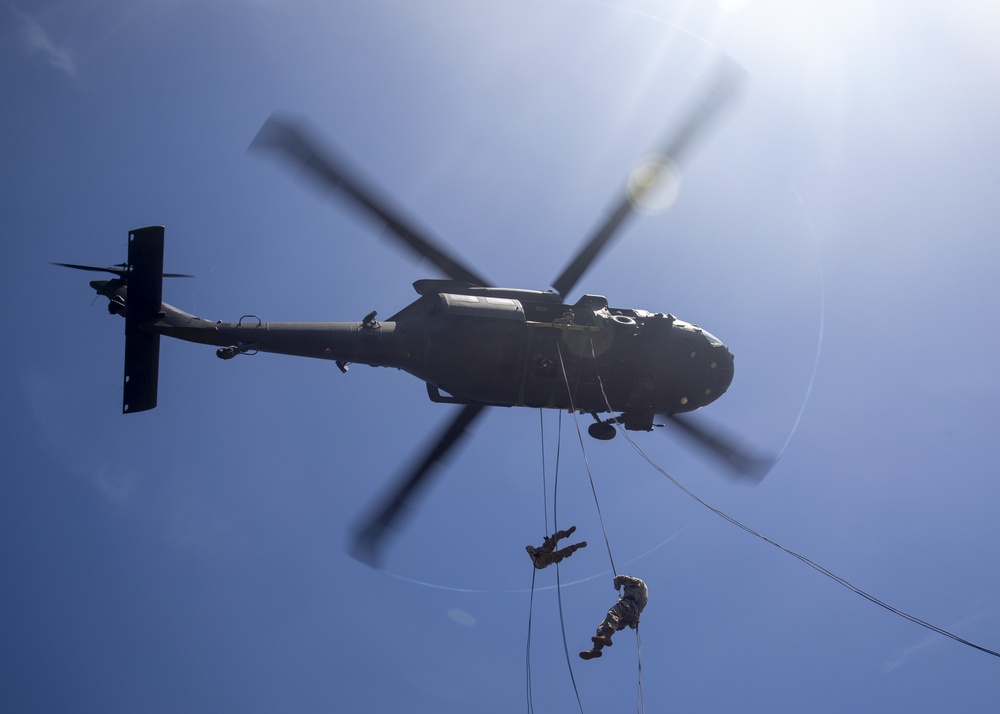 Air Assault Training